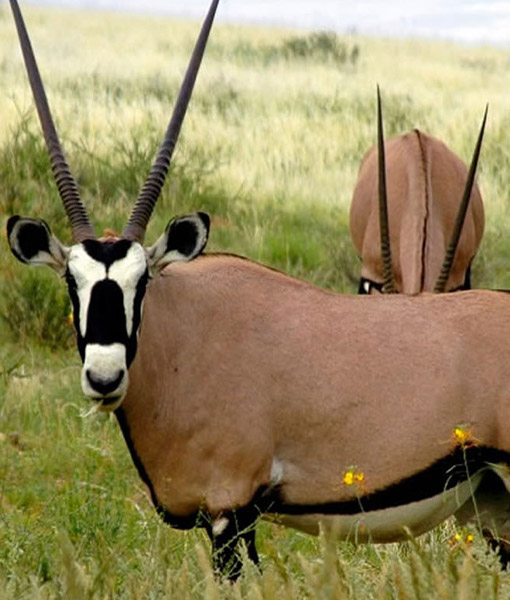 Mkomanzi National Park