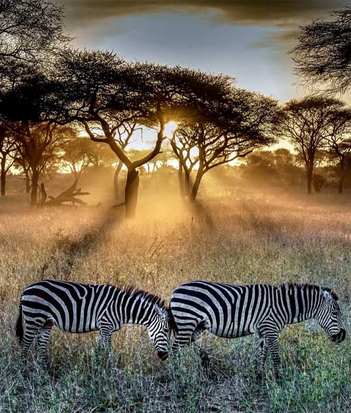 Serengeti National Park