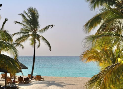 Top 5 Things Couples Love About Zanzibar