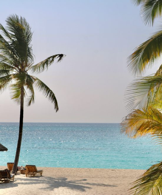 Top 5 Things Couples Love About Zanzibar