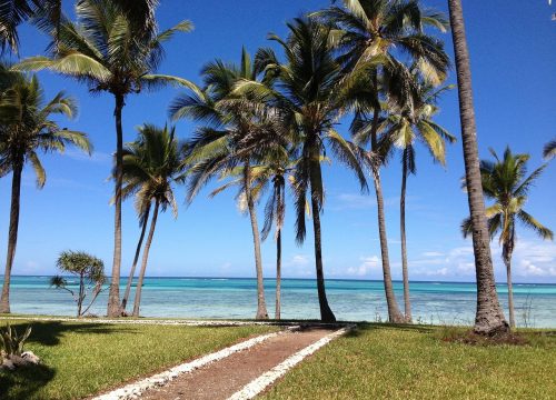 12 Days – Tanzania + Zanzibar Luxury Safari & Beach Retreat