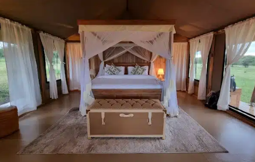 Into Wild Africa Tented Camp