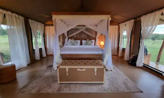 Into Wild Africa Tented Camp