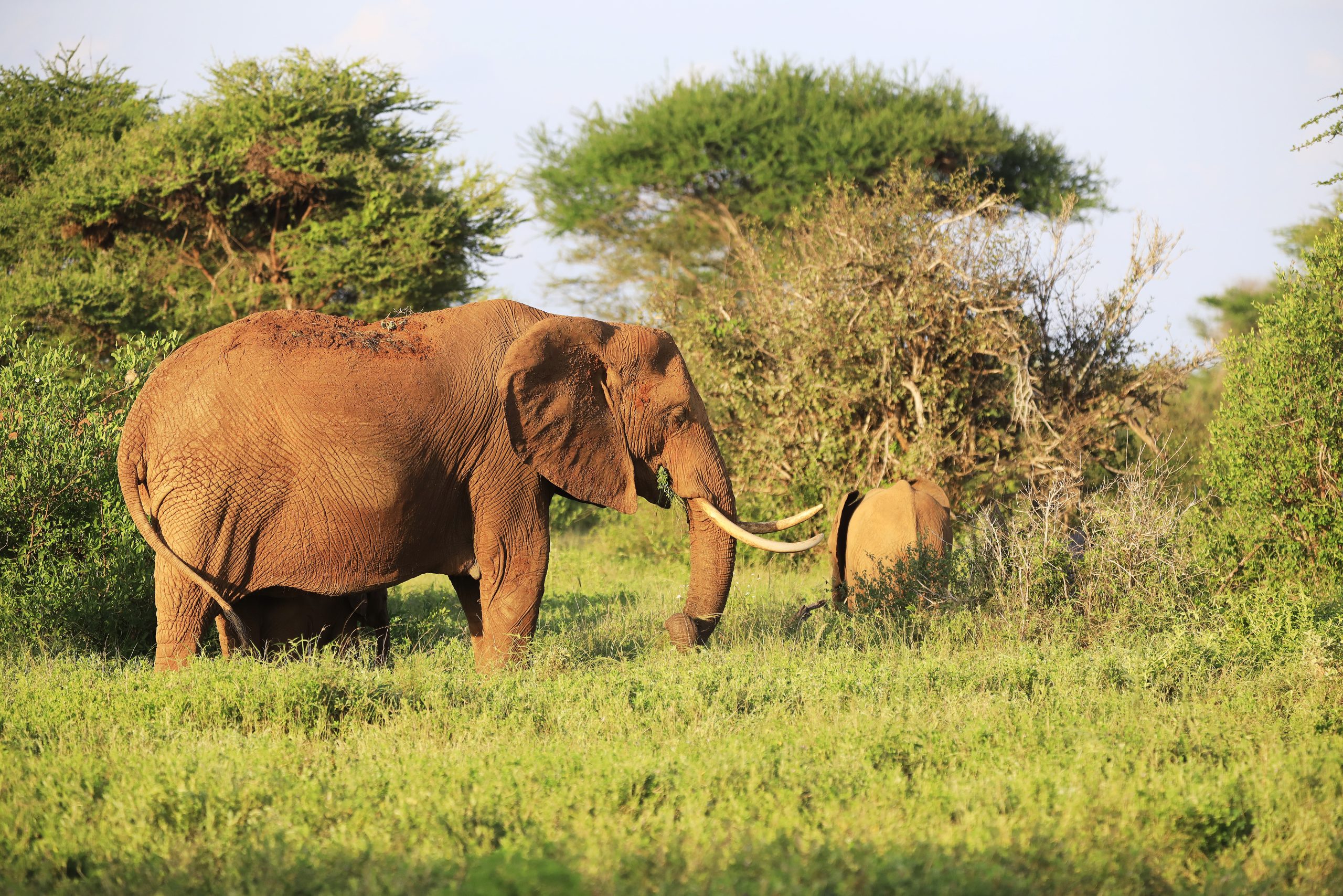 Katavi National Park