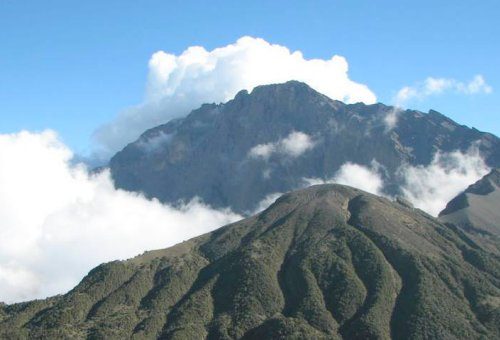 14 Nights / 15 Days	Arusha, Mt. Meru, Tarangire National Park, Lake Manyara National Park, Ngorongoro Conservation Area & Serengeti National Park