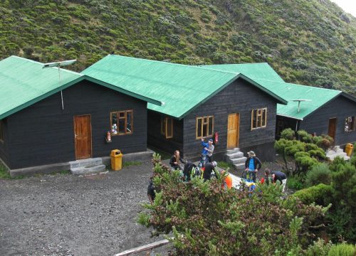 5 Nights / 6 Days (4 days on the trek)